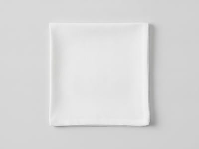 napkin — visual dictionary illustration