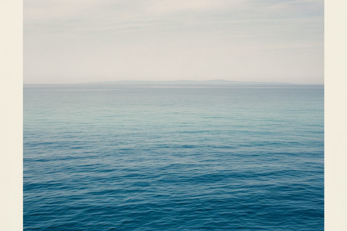 sea — shown on a beach holiday