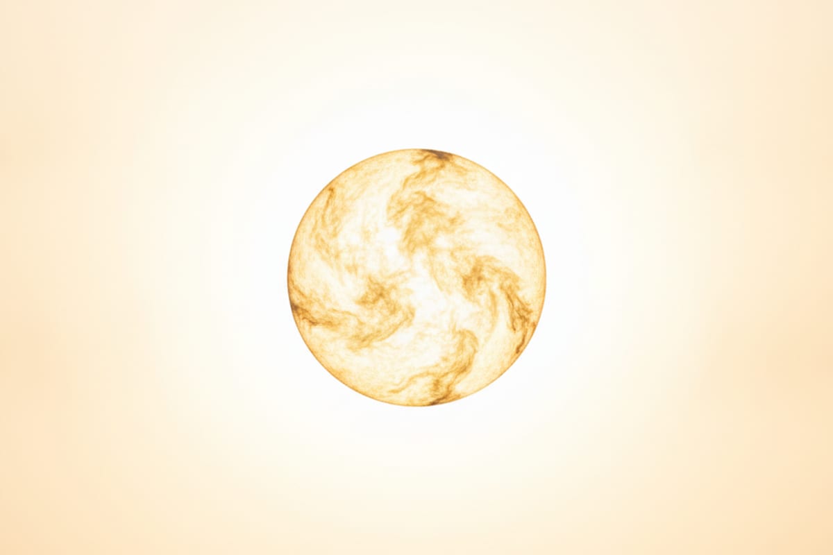 sunshine — shown on a beach holiday
