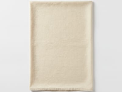 tablecloth — visual dictionary illustration