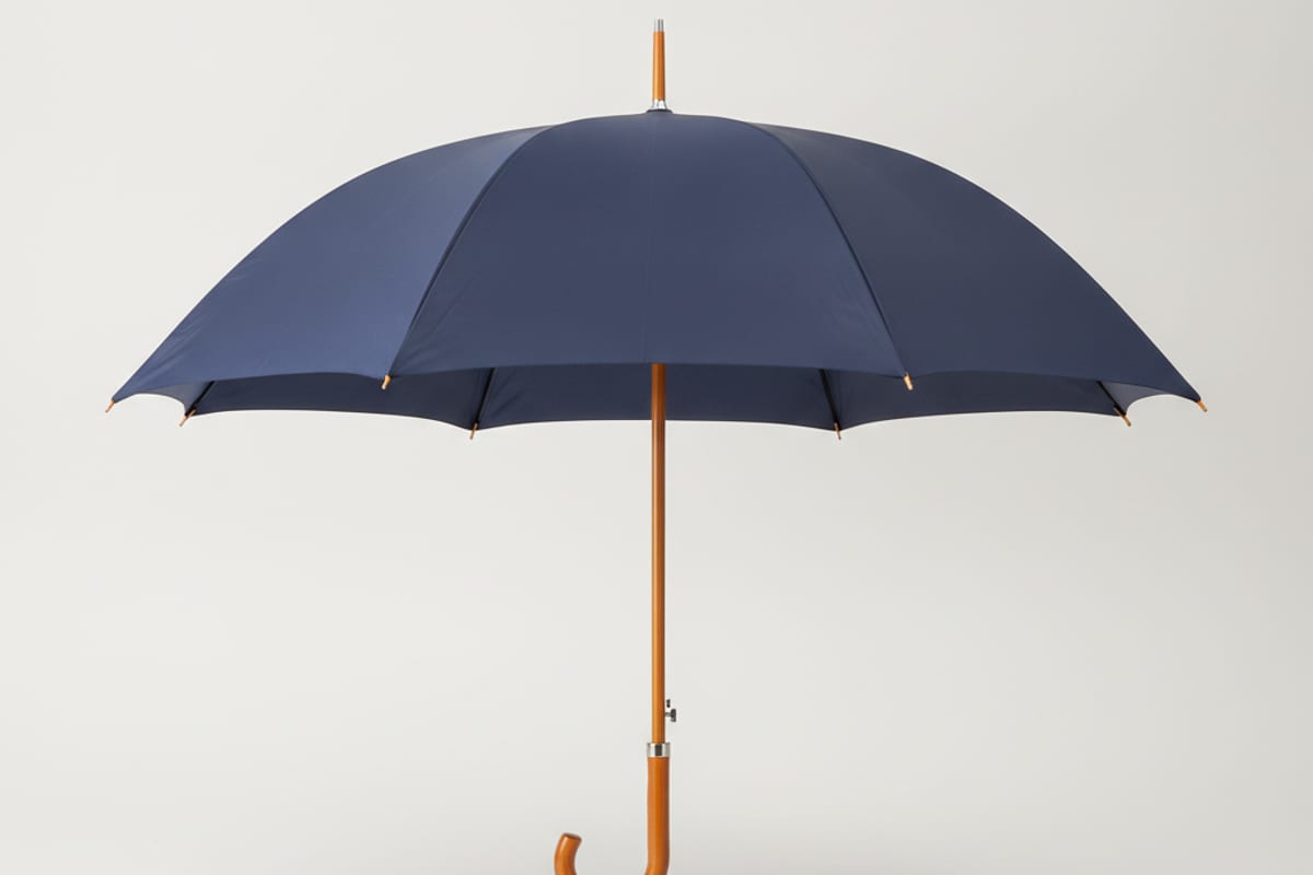 umbrella — shown on a beach holiday