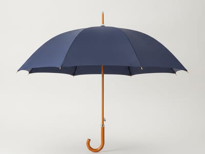 umbrella — visual dictionary illustration